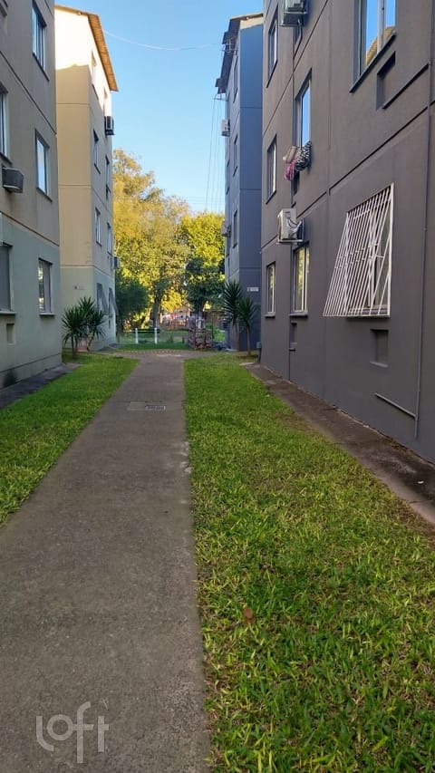 Image 4 - 249504